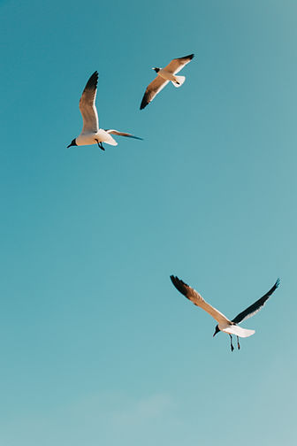 Image by Brian Asare