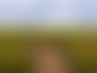 Embracing Change: The Choice Between Staying Put and Taking a Leap