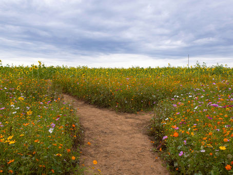 Embracing Change: The Choice Between Staying Put and Taking a Leap