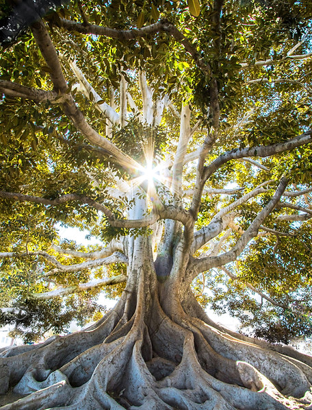 Image by Jeremy Bishop