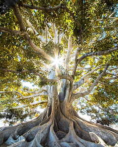 Image by Jeremy Bishop