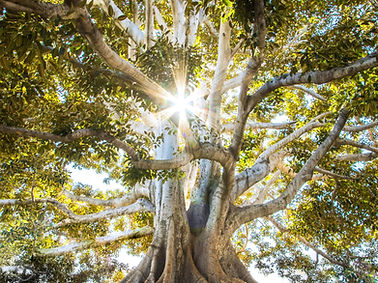 Image by Jeremy Bishop