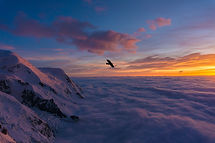 Image by Sylvain Mauroux