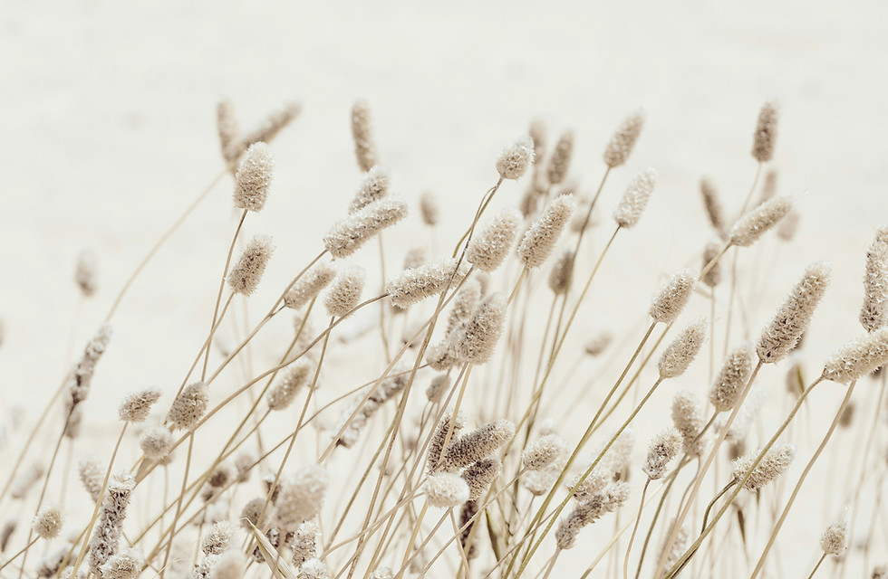 Image de Arvydas Baltinas