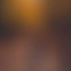 Fall is Here - How to Keep Your Vitamin D (and energy) Up as the Days Get Shorter