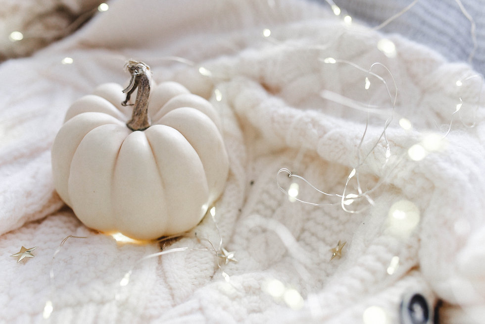 Image by Paige Cody