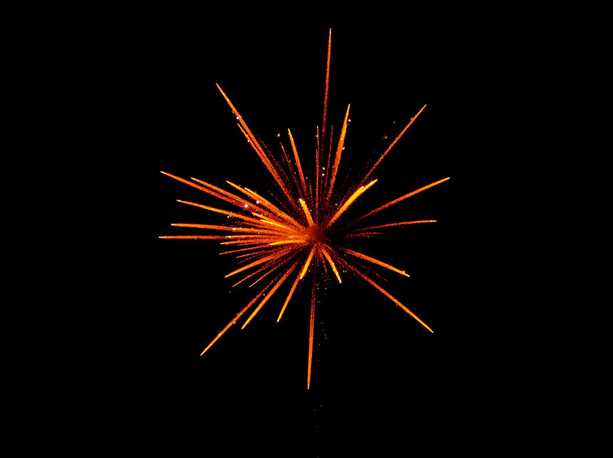Image by Neenu Vimalkumar