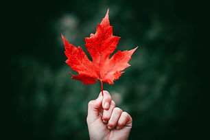 Image by Nong