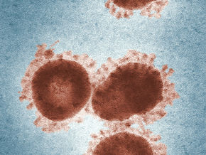 Iranian Military Assisting With Coronavirus Response