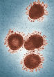 Image by CDC