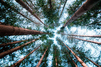 Image by Hc Digital
