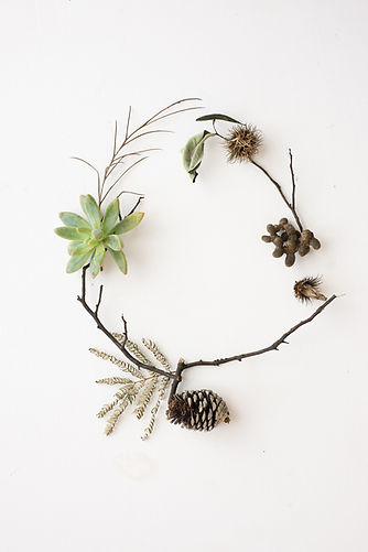 Image by Tracey Hocking