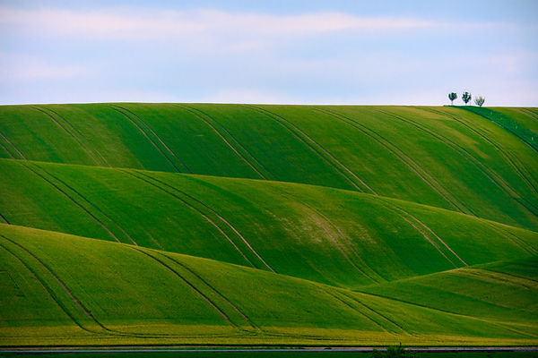 Image by Dawid Zawiła