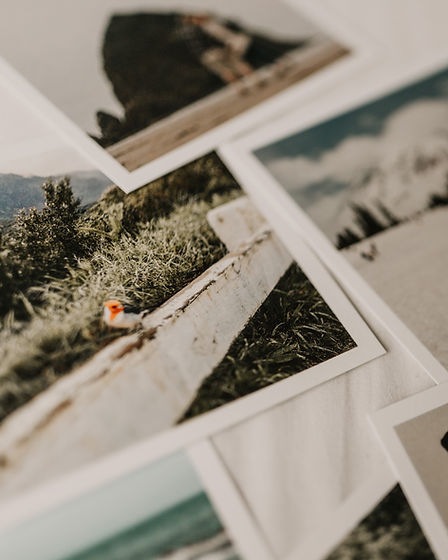 Image by sarandy westfall