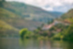 Riverfront vineyard with terraced hills in lush green, a white and red-roofed building, and cloudy sky in the background.
