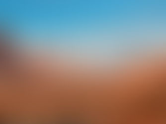 Micromanagement: Are You Brave Enough to Take the Test?