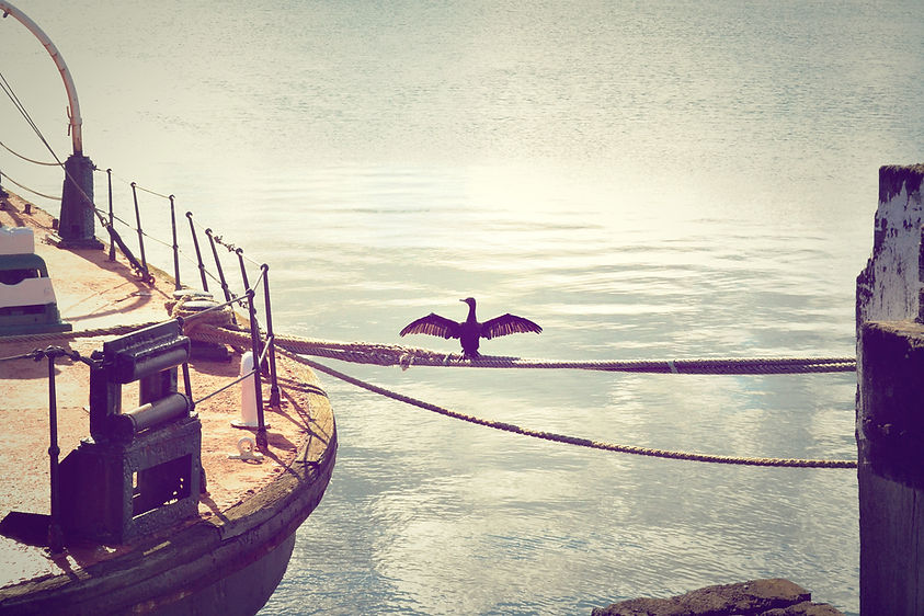 Image by Tyler Wanlass