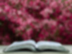 Women’s Fellowship Bible Study (Free to join)