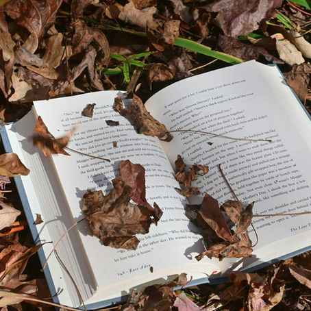 Embracing the Fall Transition: Rhythms of Learning and Wonder
