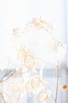 Image by laura adai