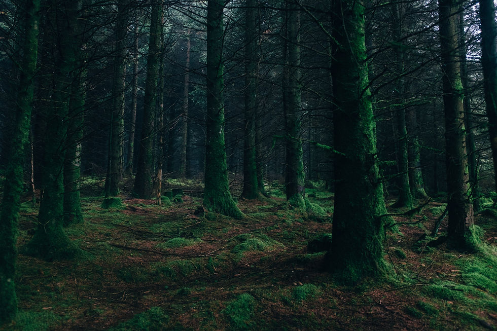 Image by Vital Sinkevich