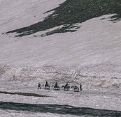 Image by vikram