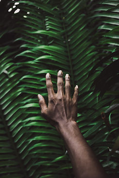 Image by Mohamed Lammah
