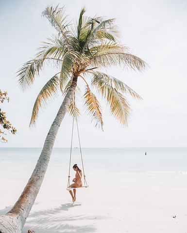 Image by Ryan Christodoulou