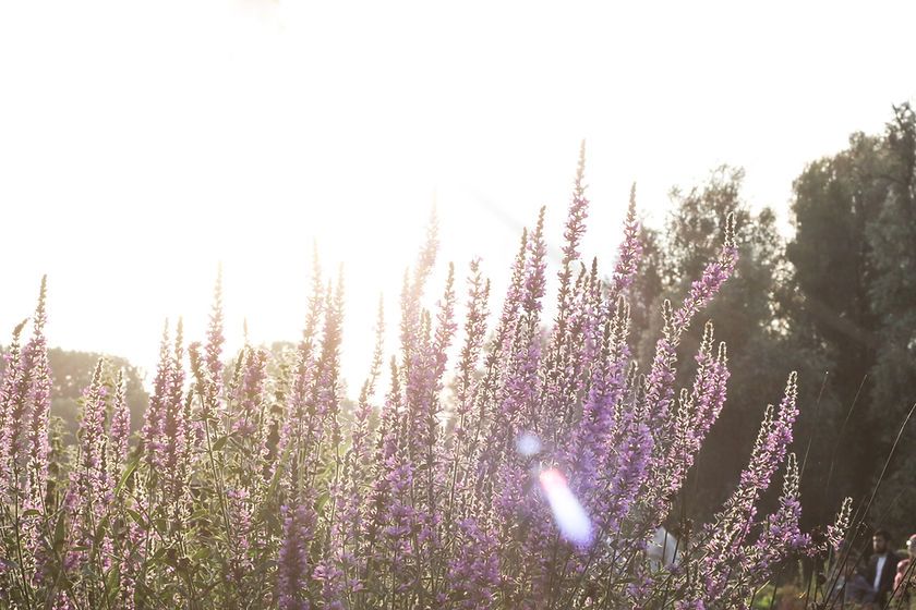 Image by micheile henderson