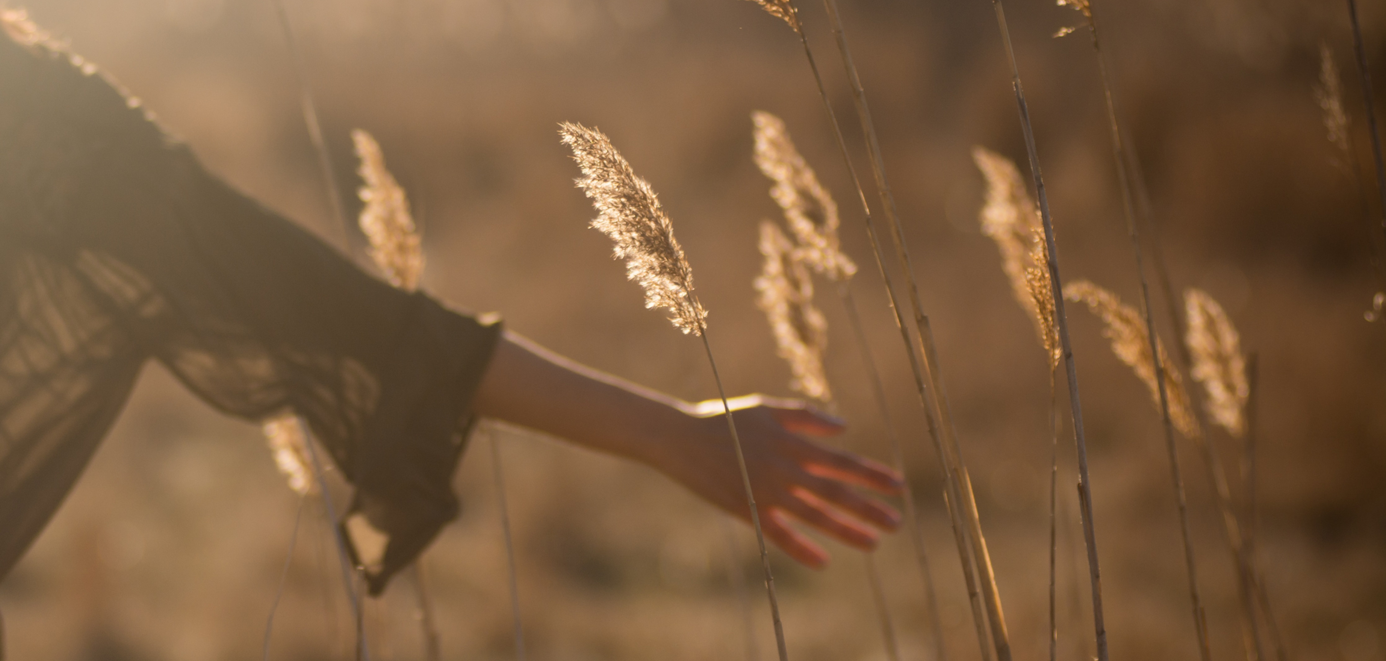 Embodied mindfulness practice in Santa Cruz, California