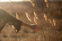 Image by Oliver Pacas