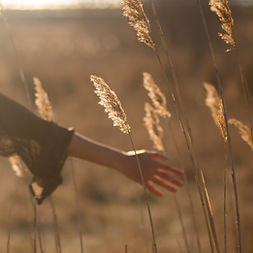 Image by Oliver Pacas