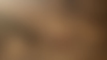Woman’s hand reaching through tall golden grass at sunset, representing the transition through perimenopause and menopause