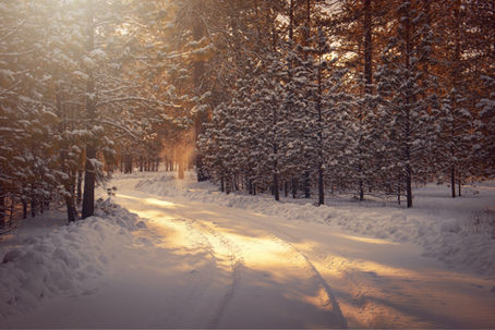         Tips for Beating the Winter Blues