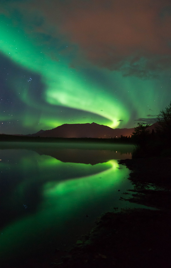 Image by Anita SHEPPERD