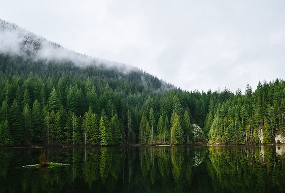 Image by Jeremy Allouche