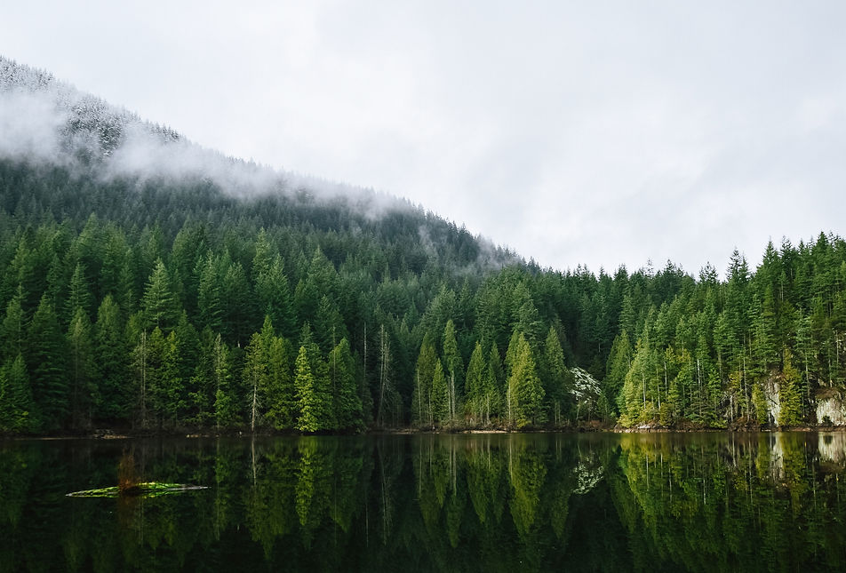 Image by Jeremy Allouche