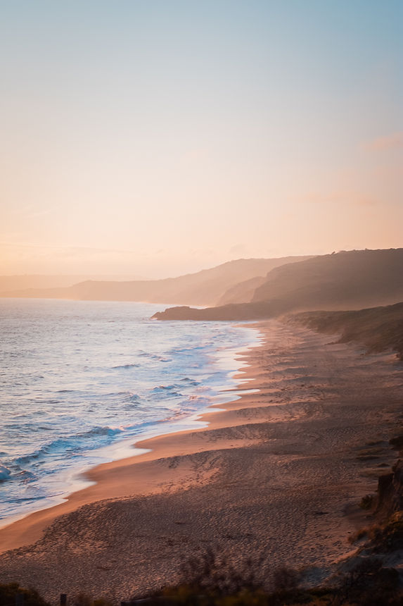 Image de Flynn Edwards