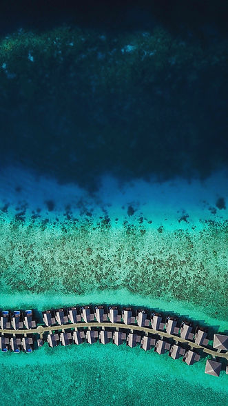 Image by Hoodh Ahmed