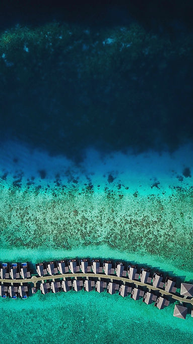 Image by Hoodh Ahmed