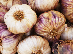HONEY FERMENTED GARLIC