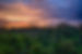 Image de Lightscape