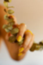Nail Services in Forest City