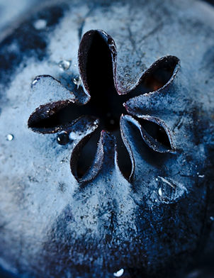Image by Michael Dziedzic