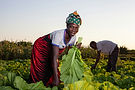 Image by Richard Nyoni