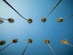 Image by Shot By Joe