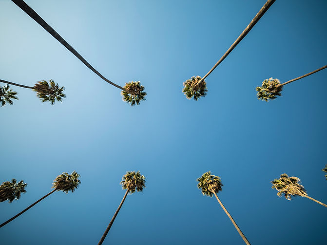 Image by Joseph Ngabo