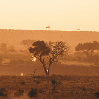 African savannah sunset during 3 day safari from Zanzibar in Northern Tanzania