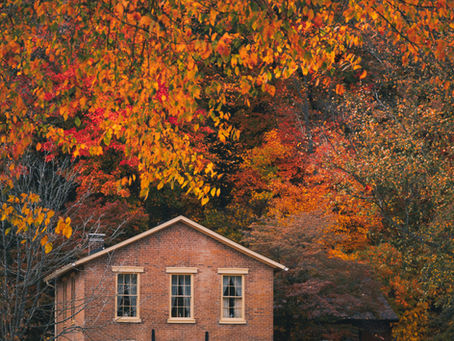 Essential Autumn Home Maintenance Tasks