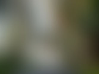 バリ島留学は女性ひとりでも大丈夫?治安がいいと言われる理由と安全ルール【保存版・予防編】